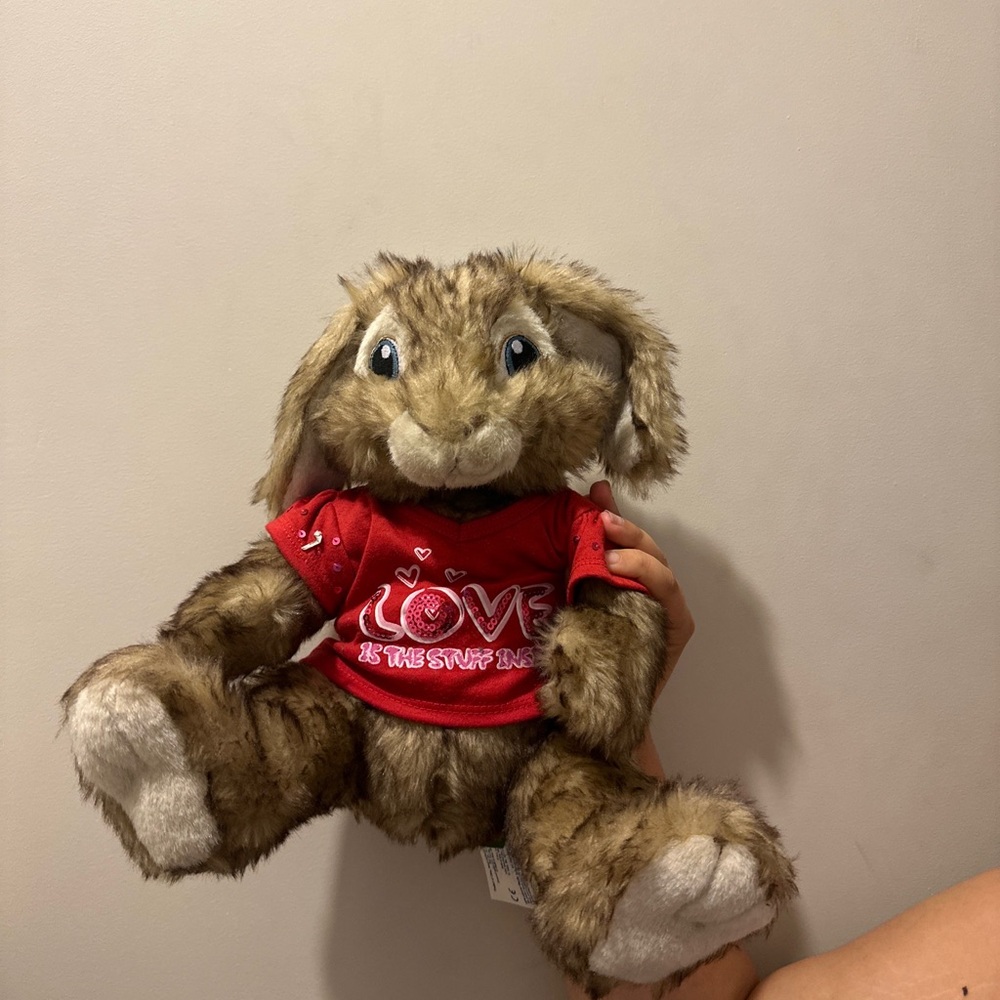 2011 Build a Bear Hop Bunny Rabbit